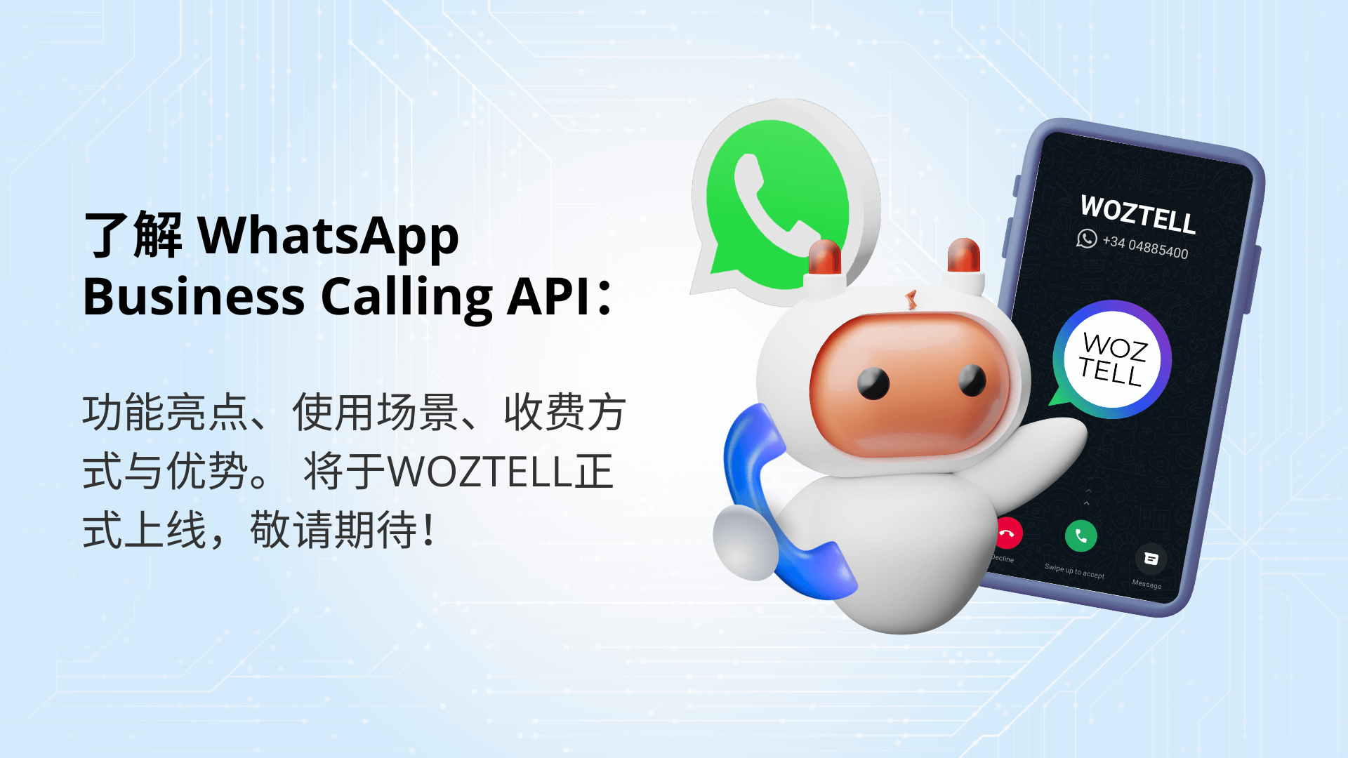WhatsApp Blue Badge